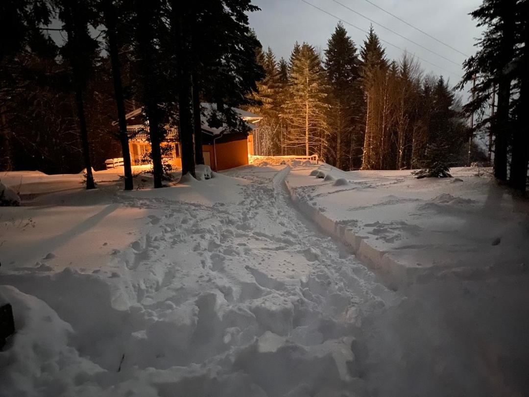 Chalet De Manu Sondernach Luaran gambar